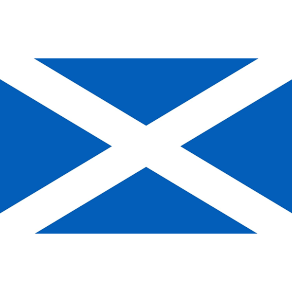 Skotsk flagga 100 Scotland
