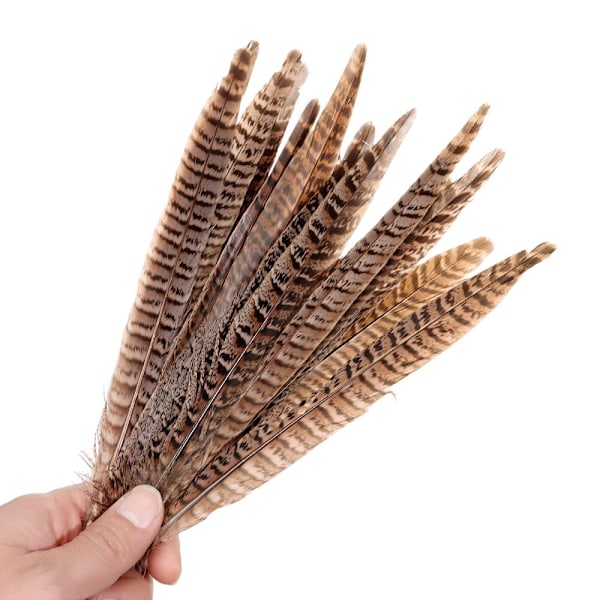 Fjer Svanehale Fjer 10-15CM - spot salg 10-15cm