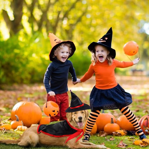 Kæledyr Halloween Kappe Kostume til Små Hunde og Katte, Heksekappe med Bindebånd