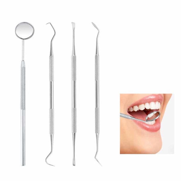 Professionell tandhygien kit - 4 delar rostfritt st?l Silver