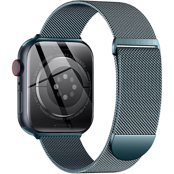 Metallinen Apple Watch -ranneke 40 mm 38 mm 41 mm Vaaleansininen - WELLNGS Light Blue Light Blue 42/44/45/49mm