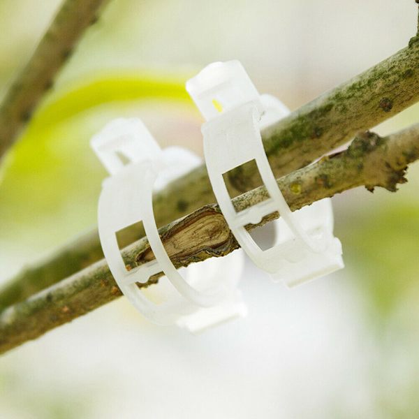 Planteclips, til fastgørelse