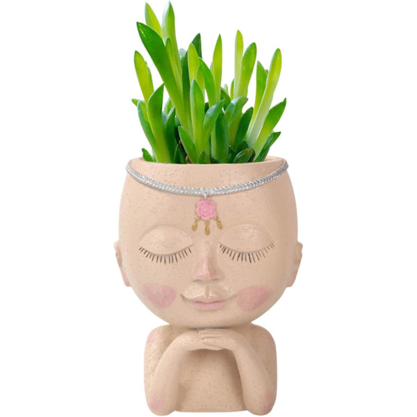 Sød ansigtspotte, kvindehovedfigur vase, harpiks sukkulentpotte