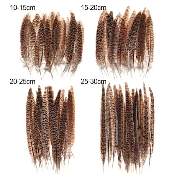 Fasanfjer 15-20CM - Spot salg 15-20cm