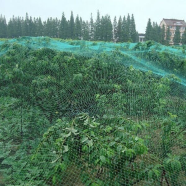 2X10M Have Dam Netting Frugtbeskyttelse Mesh Anti Fuglenet Grøntsager 2*10M