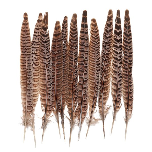 Fasanfjer Svansfjer 10-15CM - spot salg 10-15cm