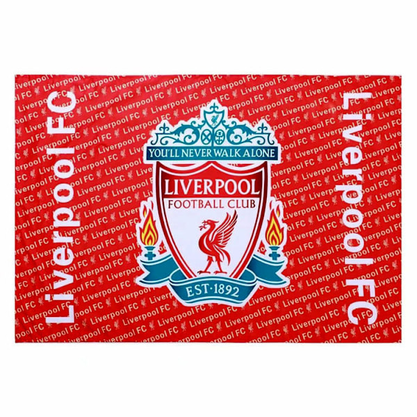 Liverpool FC Flagg-FA2-