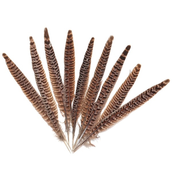 Fjer Svanehale Fjer 10-15CM - spot salg 10-15cm