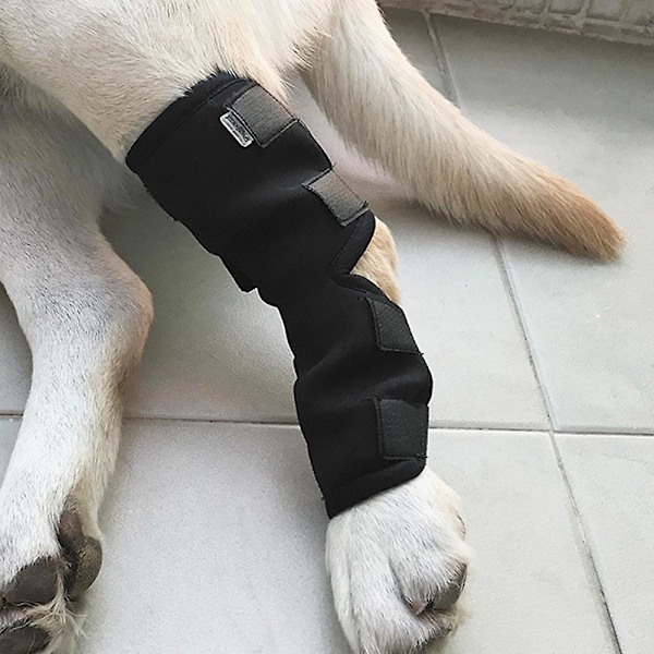Hund Anti-slip benindpakning beskyttelse Teddy Ben Hase ærme Kompressionsbandage Cover XL