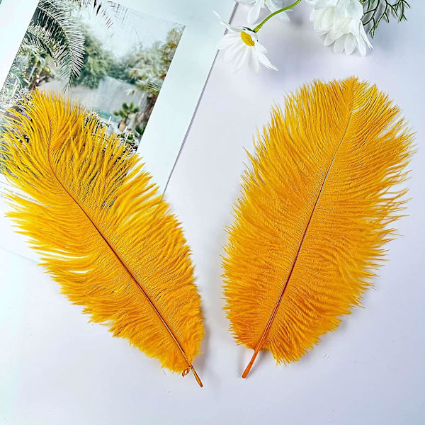 20 stk. Natura Gold strutsfjer 12-14 tommer (30-35 cm) Bulk til DIY Thanksgiving-dekorationer, bryllupsfestens midtpunkter, Gatsby-dekorationer