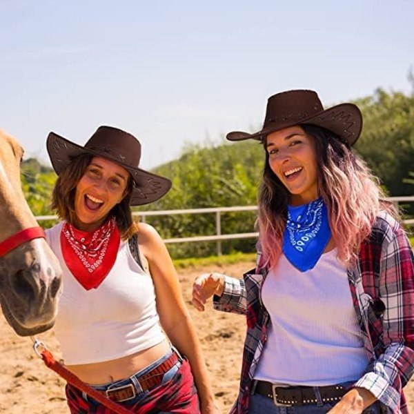 Cowboyhat til kostumer og udklædning, bred skygge, western