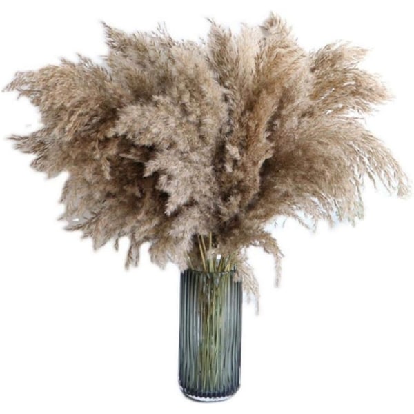 Pampasgräs, 20 st, 60 cm, naturligt torkat, bröllopsdekoration, trendig bukett, konstgjorda blommor, för heminredning, dekorativa vaser