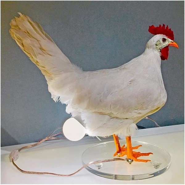 Æglampe Påske Taxidermi Kylling Æglampe Hane Bordlampe baklykta