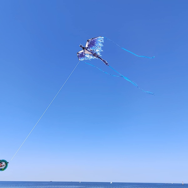 SEW Dragon Kite for Kids & Adults, Easy to Fly Kite for Beginners,Large Single Line Kite for Beach Trip
