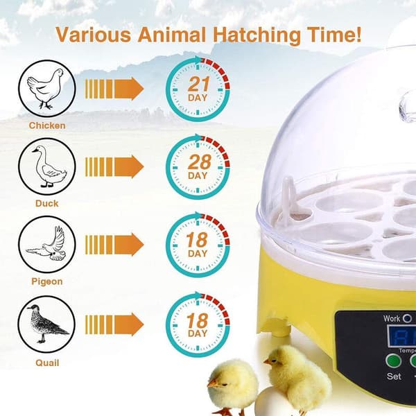 Automatisk digital inkubator kläckare 7 kycklingägg-XS1-