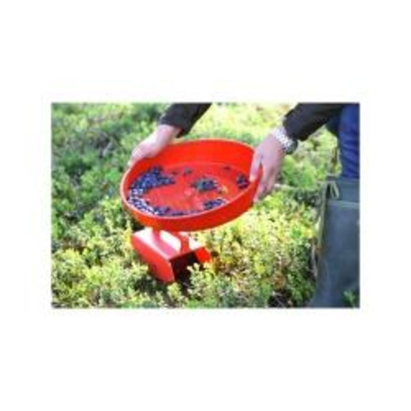 Bärrensare Röd 36cm Jonas of Sweden red 275