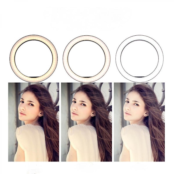 Led Ring Light Bärbar Make Up Ringlight för video, studio, smink, dimbar 3 ljuslägen, lätt att bära och installera (FMY)