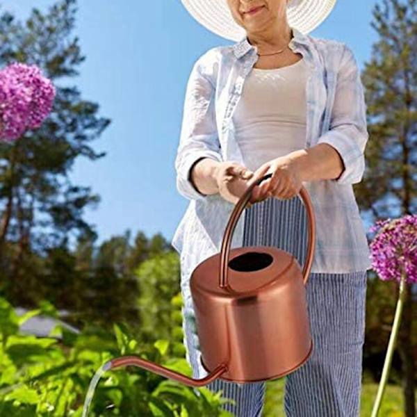 Lang tud vandkande nordisk stil børstet plantevandingspotte til indendørs og udendørs havehjem blomst (rød kobber)