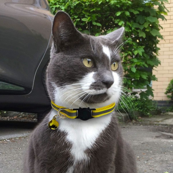 6-pack reflexhalsband för katt med klockor, snabb säkerhetsutlösning