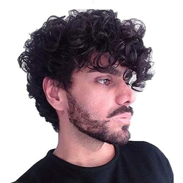 Short Curly Mens Black Wig Fluffy Synthetic Cosplay Halloween