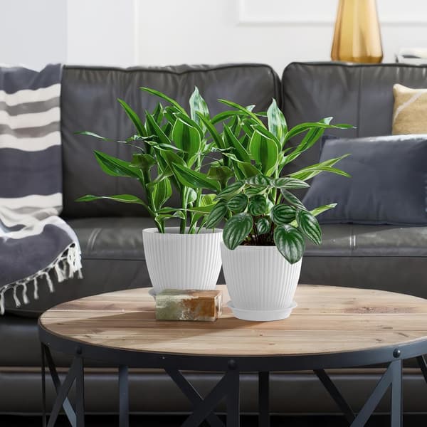 6-pak stribede riflede urtepotter med drænhuller og underskåle Indendørs urtepotter Moderne dekorative potter til alle stueplanter 19x16cm-FA-