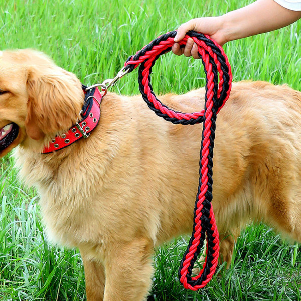 Ny hundkedja stor hund P-kedja golden retriever Labrador husky koppel gå hundrat halsband djurtillbehör XL