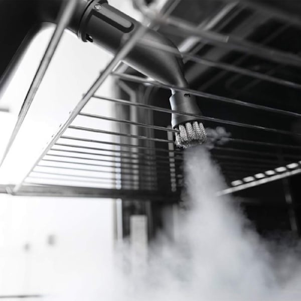 Cecotec HydroSteam 2030 Active 2000 W Håndholdt Damprenser
