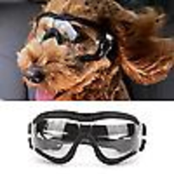 Dog Glasses Pet Sunglasses Eye Protection Waterproof Windproof