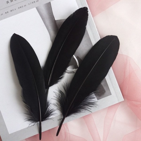 100 pcs/set Goose Feathers Assorted Feathers WHITE-FA- black