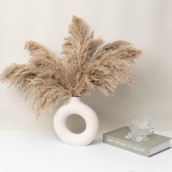 Off White Keramisk Donutvas, Pampasgräsvas, Modern Vas för Heminredning, Pampasgräsvas-FA-