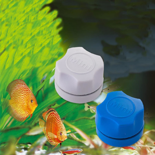 Akvariemagnetisk borste Mini magnetisk algskrapa Akvarium