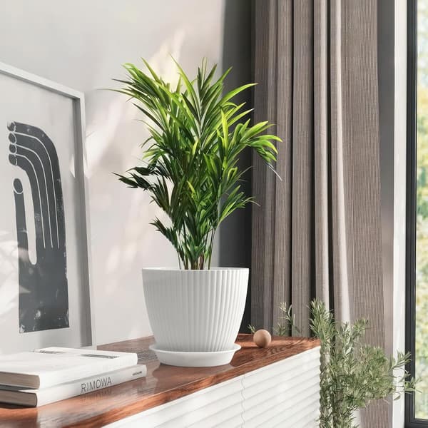 6-pak stribede riflede urtepotter med drænhuller og underskåle Indendørs urtepotter Moderne dekorative potter til alle stueplanter 19x16cm-FA-