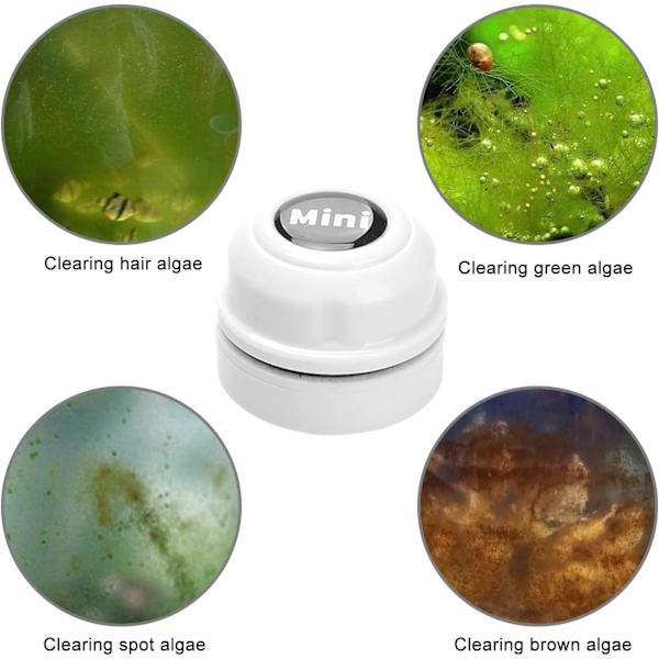 Mini magnetisk akvarieborste - Akvarierengörare - Bärbar (Vit)
