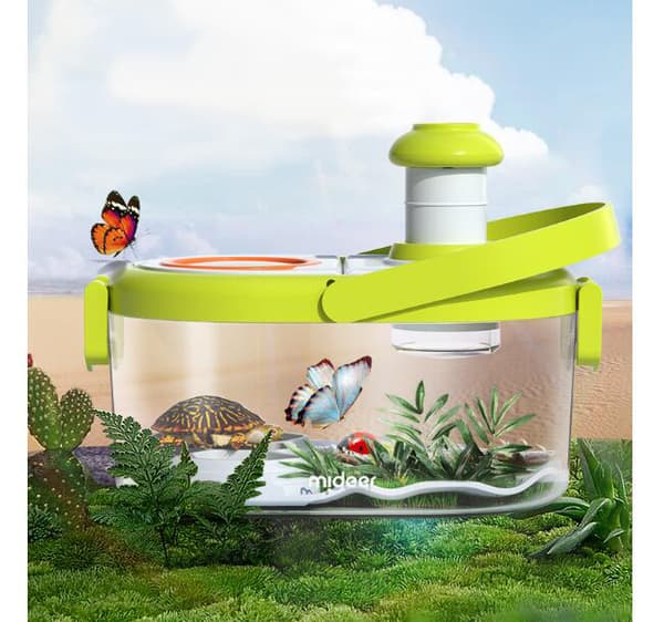 Fjäril Insektsbo Insektslåda för Barn - XF27 - green