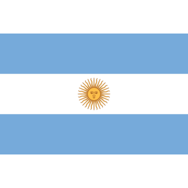 Argentinsk flag 100 Argentina