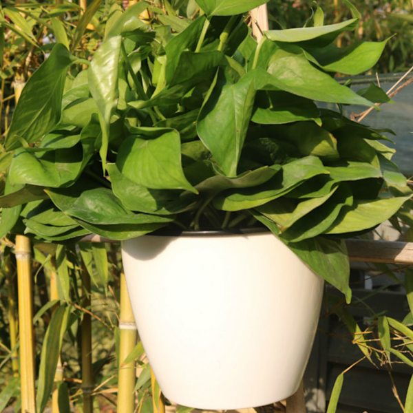 7-pack/lot Premium Resin självvattnande växtblomkruka Snygg white 130
