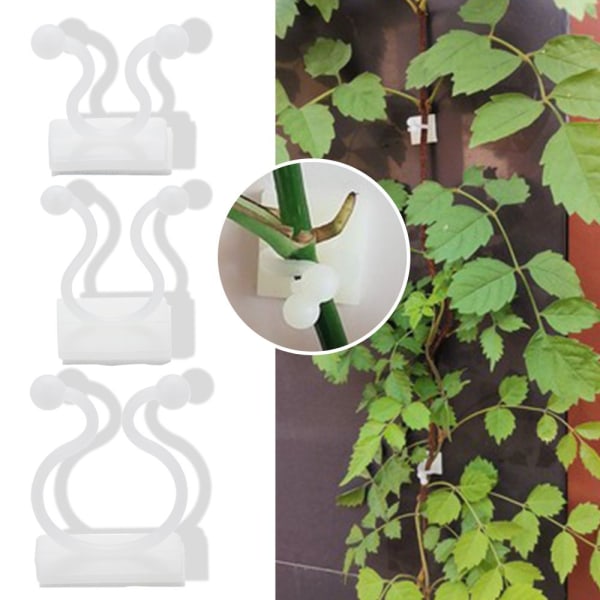 10 / 50PCS Plant Clip Rotting Clamp Wall Vines V-Vine