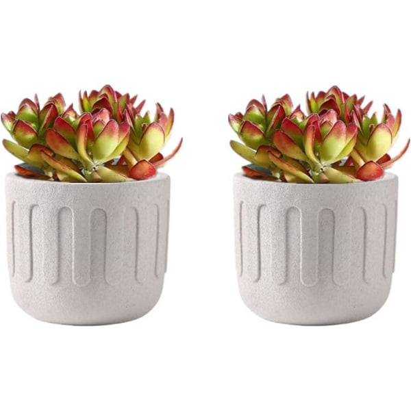 Keramisk blomkruka - För inomhusbruk - Matt textur - För suckulenter