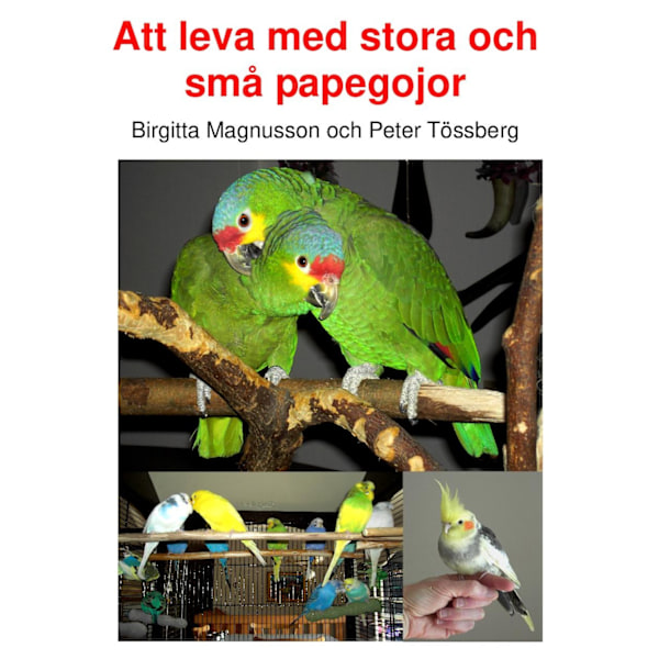 Elämää suurten ja pienten papukaijojen kanssa 9789197847315 306