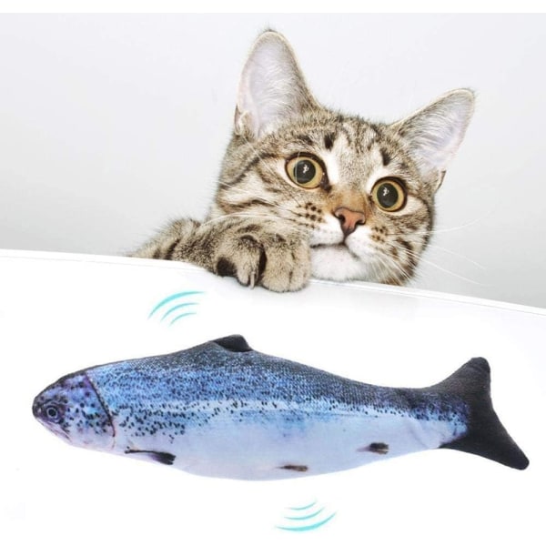 Catnip Electric Simulation Fish Cat Toy, Interactive Pet Cat