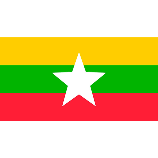 Myanmarin lippu 100 Myanmar