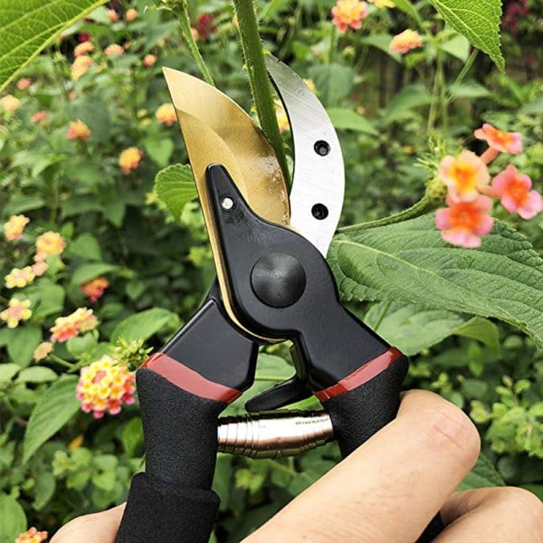 Hagesaks Rett Blad i Stål og Titan Blomstersaks Klipp Bypass Tørt Tre. Ergonomiske Håndtak