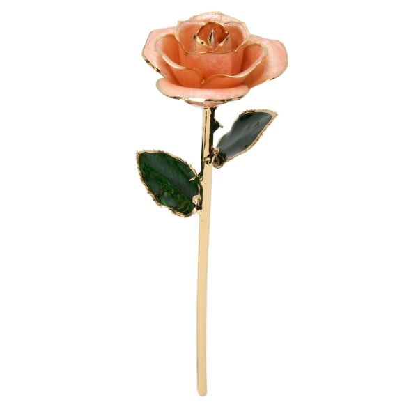 Guldbelagt rose 24K guldbelagt dyppet rose med stativ til Valentinsdag og årsdag rosa