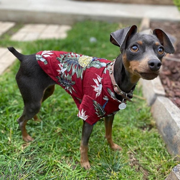 Sommer hundetøj Cool Beach Hawaiian Style Hunde Katteskjorte Kortærmet Coconut Tree Printing 2022 Ny modegave til kæledyr Hvid ananas XS
