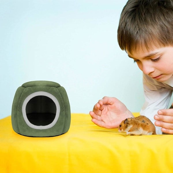 Grön marsvinssäng marsvinsleksak hamsterleksak marsvinshus