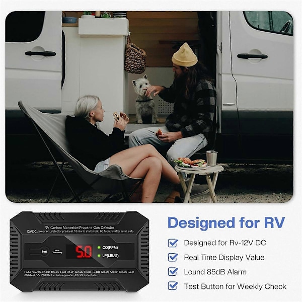 RV Kulilte- og Propangasdetektor, Dobbelt LP/CO Gasalarm med Separate LCD Indikatorlamper
