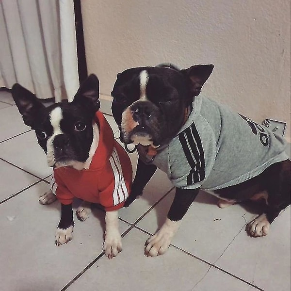 Vinterhundkläder Adidog Sport Tröjor Sweatshirts Varm kappa Kläder för små Medium Stora Hundar Stora Hundar Katt Husdjur Valp Outfi