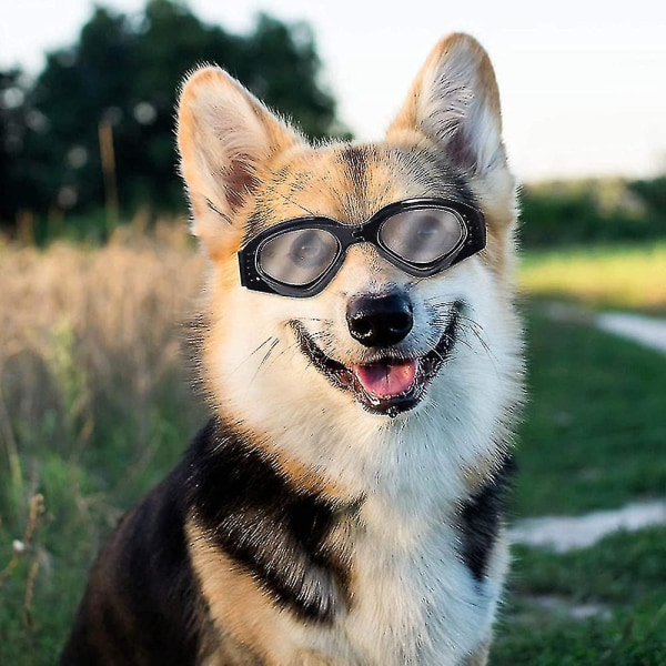 Hundesolbriller, justerbar strop til UV-solbriller, vandtæt Style 1