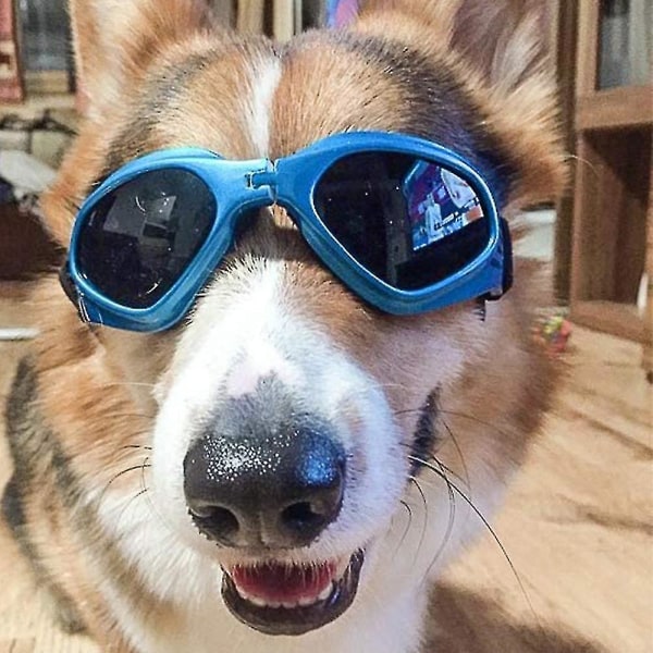 Hundesolbriller, justerbar strop til UV-solbriller, vandtæt Style 2