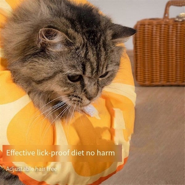 Katthalsband, Kon för husdjur, Mjuk, Tåliga kattillbehör, Skyddande krage för kattsår M